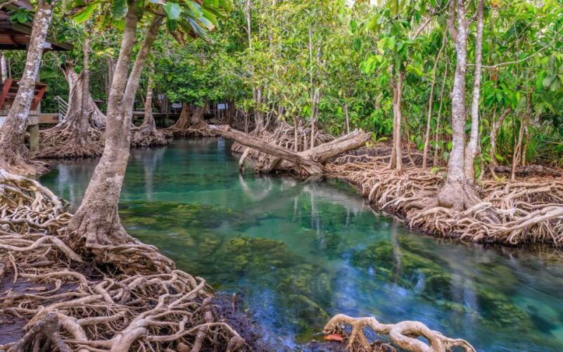 krabi-customizable-private-day-tour-with-driver
