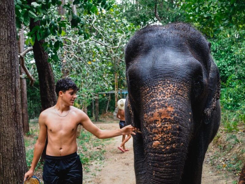 krabi-elephant-bathing-session-at-krabi-elephant-shelter