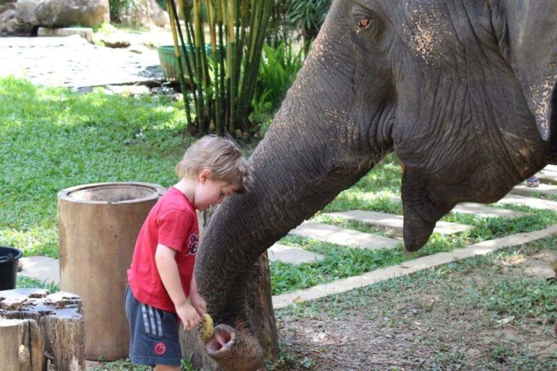 krabi-ethical-elephant-sanctuary-experience
