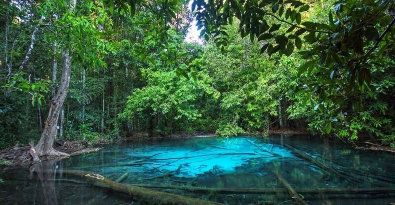 krabi-full-day-jungle-cycling-and-emerald-pool-tour