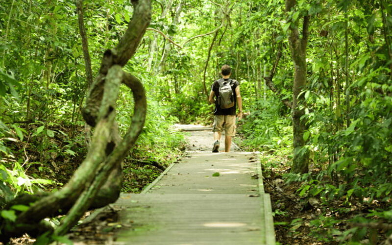 kuala-lumpur-taman-negara-national-park-teras-waterfall