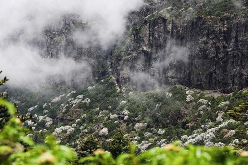 kunming-jiaozi-sedan-chair-snow-mountain-hiking-day-trip