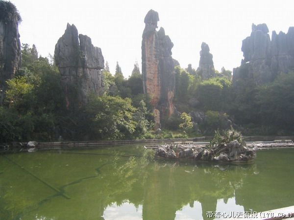kunming-stone-forest-private-day-tour