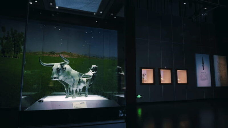 kunming-yunnan-provincial-museum-entry-reservation