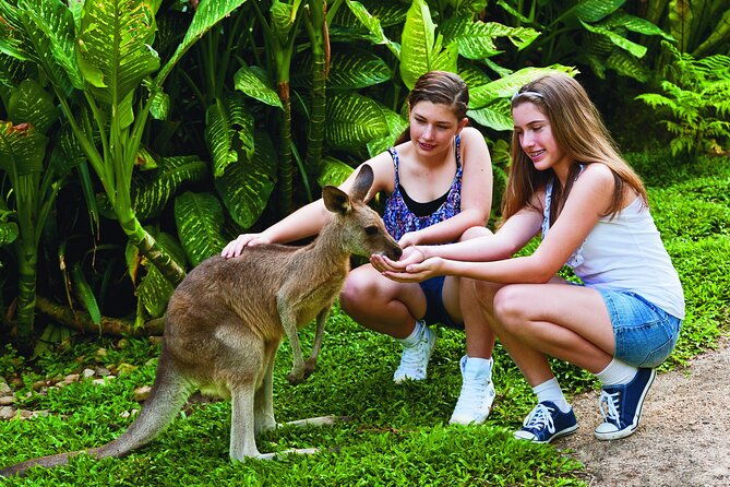 Kuranda Wildlife Experience Deluxe Multi Attraction Pass - Frequently Asked Questions