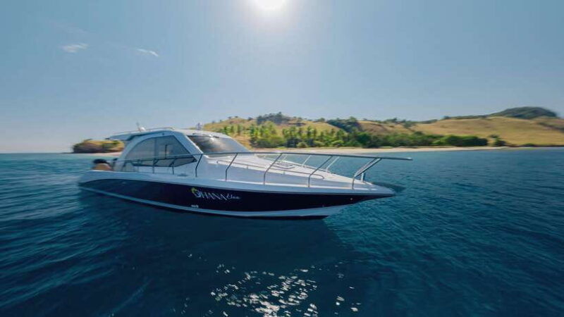 labuan-bajo-komodo-national-park-full-day-speedboat-tour