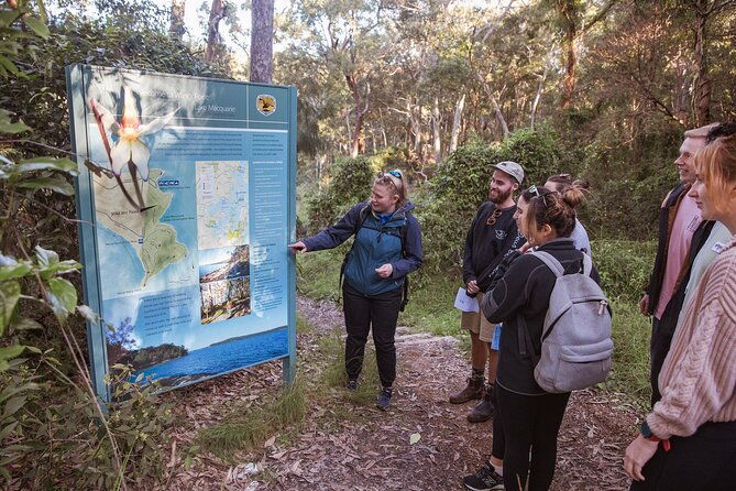 Lake Cruise and Nature Walk in Lake Macquarie - Who Will Love This Tour?