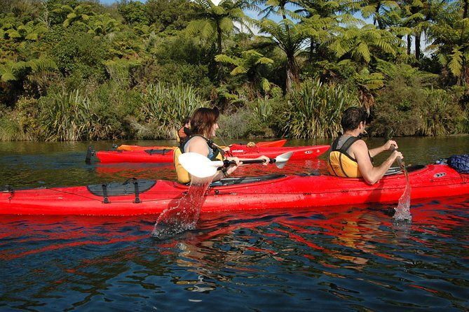 Lake Rotoiti Guided Hot Pools Kayak Trip - Who Would Love This Experience?