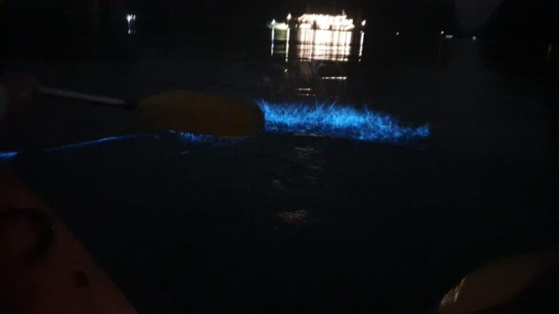 lan-ha-bay-sunset-plankton-bioluminescent-night-kayaking