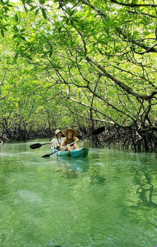langkawi-kilim-geoforest-mangrove-kayak-tour-with-lunch