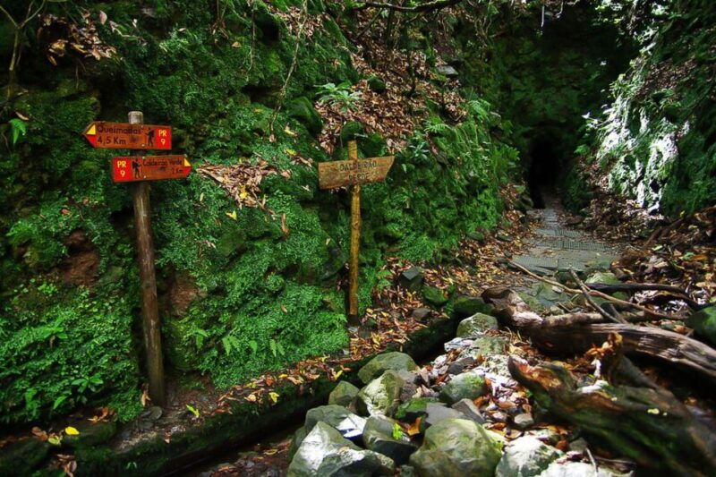 levada-walk-and-caldeirao-verde-waterfalls-madeira