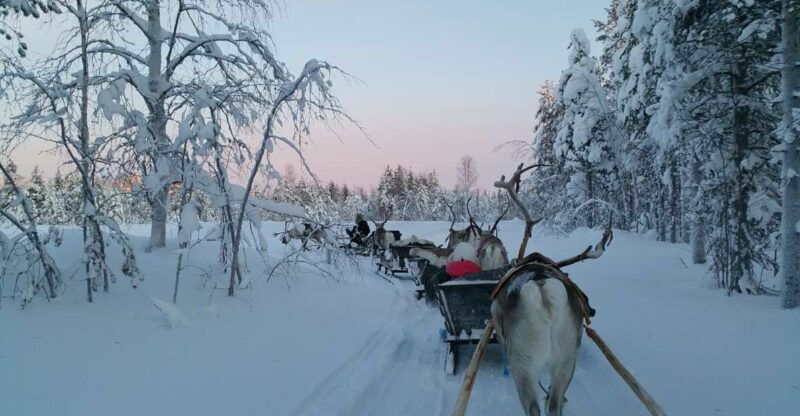 levi-3km-reindeer-sleigh-ride