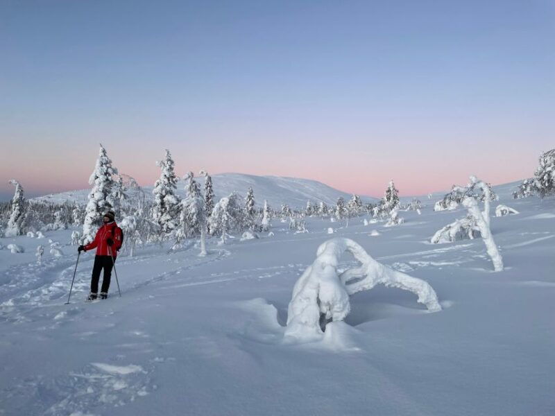 levi-pallas-yllastunturi-national-park-snowshoeing-tour