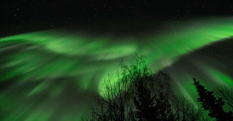 levi-search-for-northern-lights-in-snowmobile-sleigh
