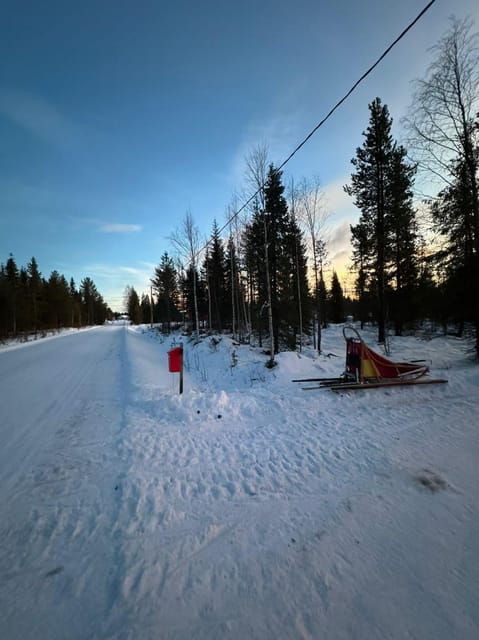 levi-self-drive-2-km-husky-sledding-experience