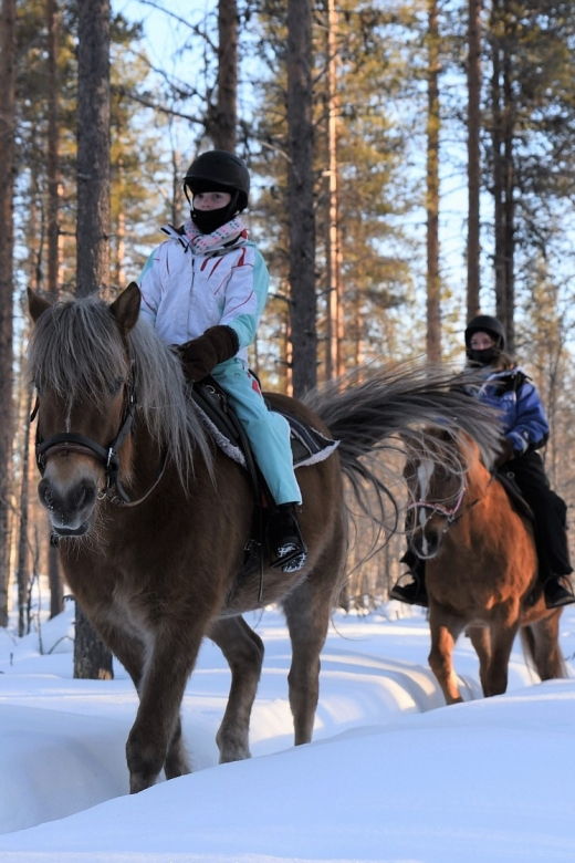 levi-snowy-forest-ride-and-polar-lights-tours
