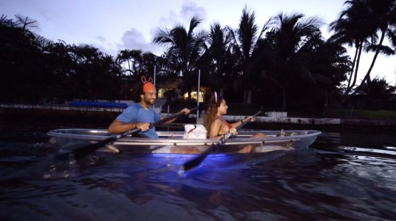 lighted-clear-kayaks-at-night-w-champagne-in-miami-beach