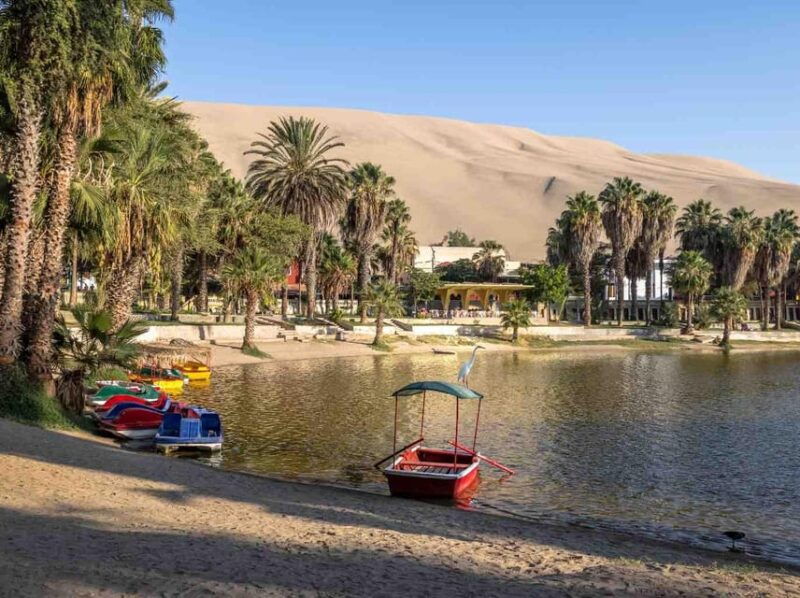 lima-full-day-tour-to-paracas-vineyards-and-huacachina-2