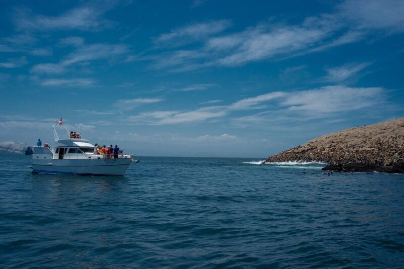 lima-sea-lion-swim-and-wildlife-palomino-islands-cruise