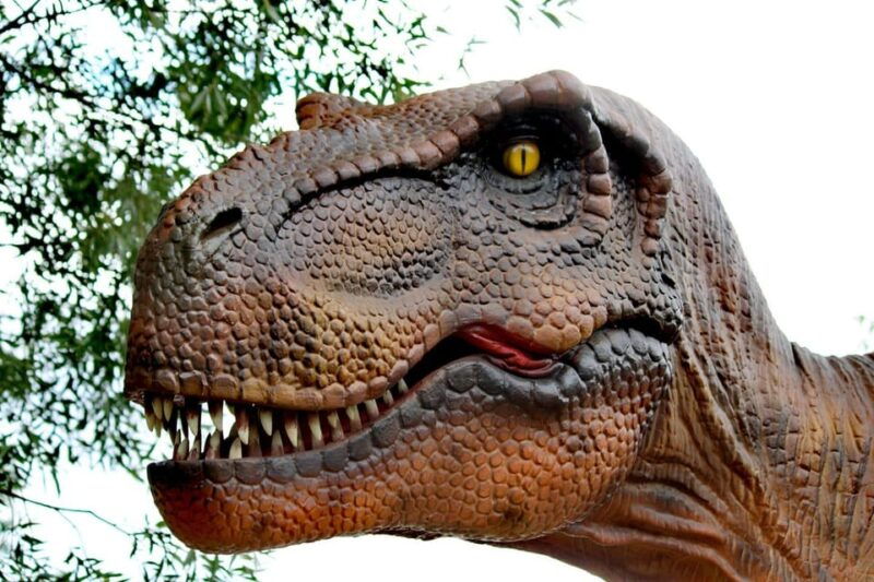 lincolnshire-ark-wildlife-and-dinosaur-park-entry-ticket