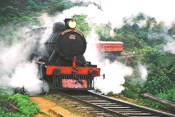 Lipton's Seat and Tea Factory,Trail Amidst Tea Plantation Day Tour - Who Should Consider This Tour?  