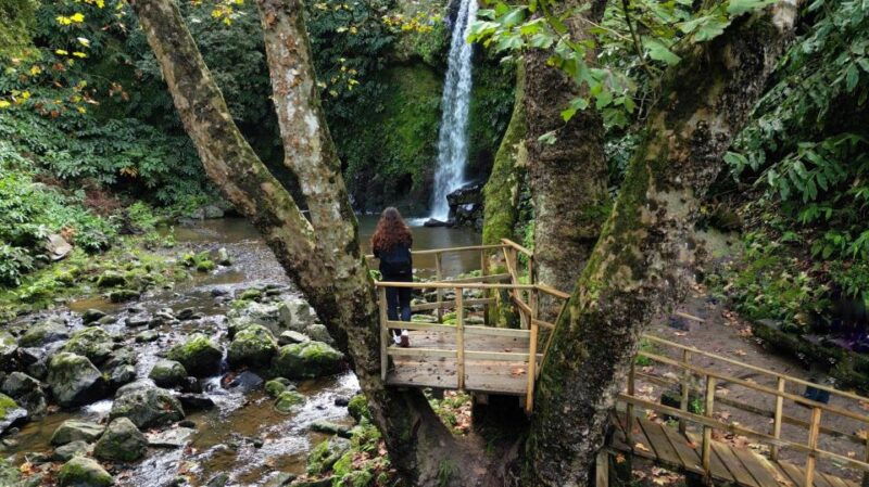 lomba-de-sao-pedro-waterfall-hiking-tour-with-tea-tasting