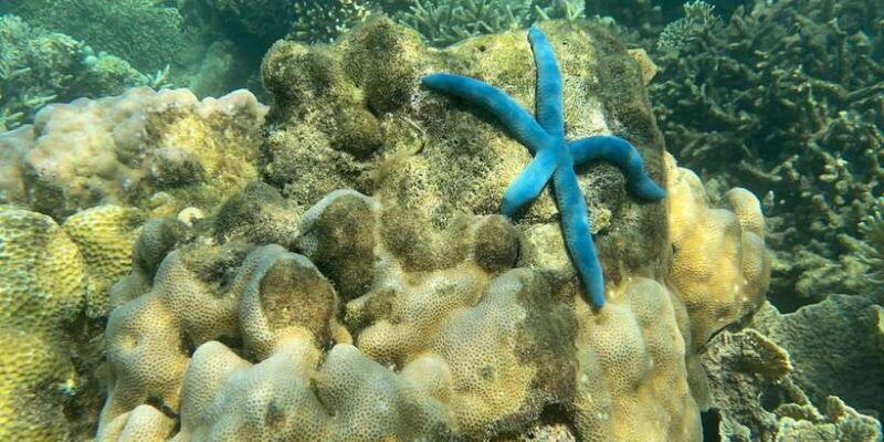 lombok-private-day-trip-snorkeling-in-secret-island