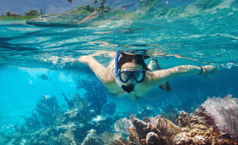 lombok-private-snorkeling-at-4-gili-spots-with-gopro-camera