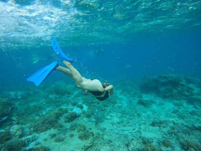 lombok-snorkeling-to-gili-nanggu-sudak-kedis-private