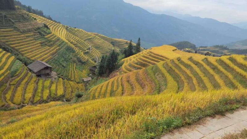longji-rice-terraces-full-day-private-tour-from-guilin