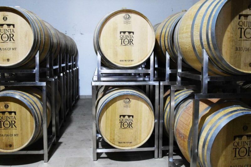 loule-quinta-da-tor-winery-guided-tour-and-wine-tasting
