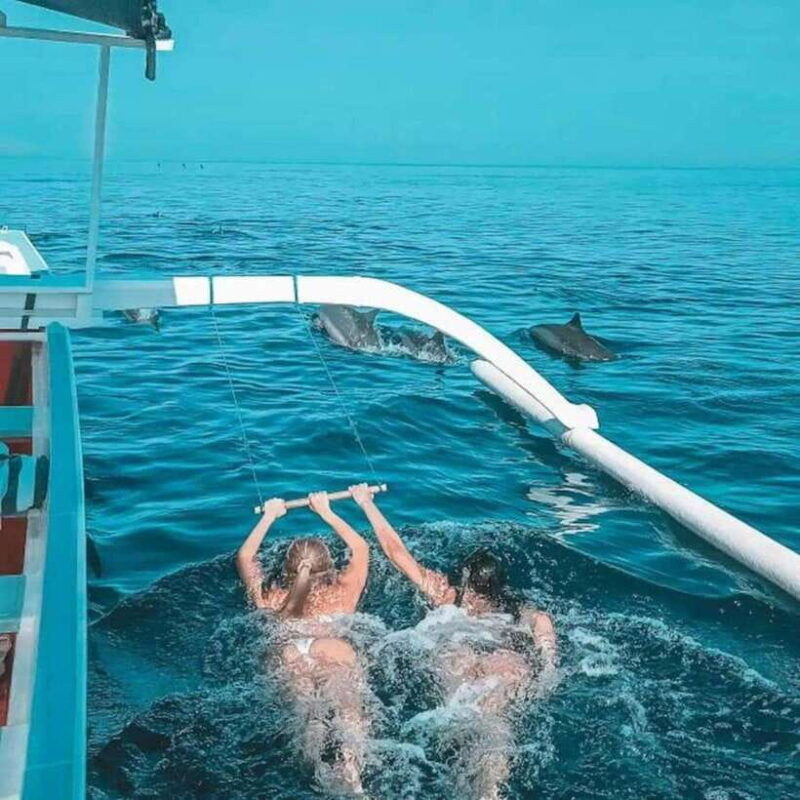 lovina-bali-watching-dolphin-swimming-and-snorkling-tour