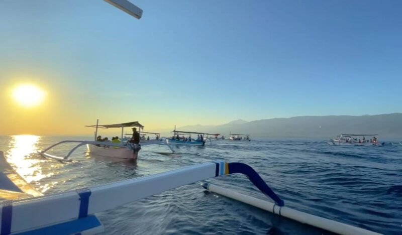 lovina-dolphin-watching-swimming-with-dolphin-private-tour