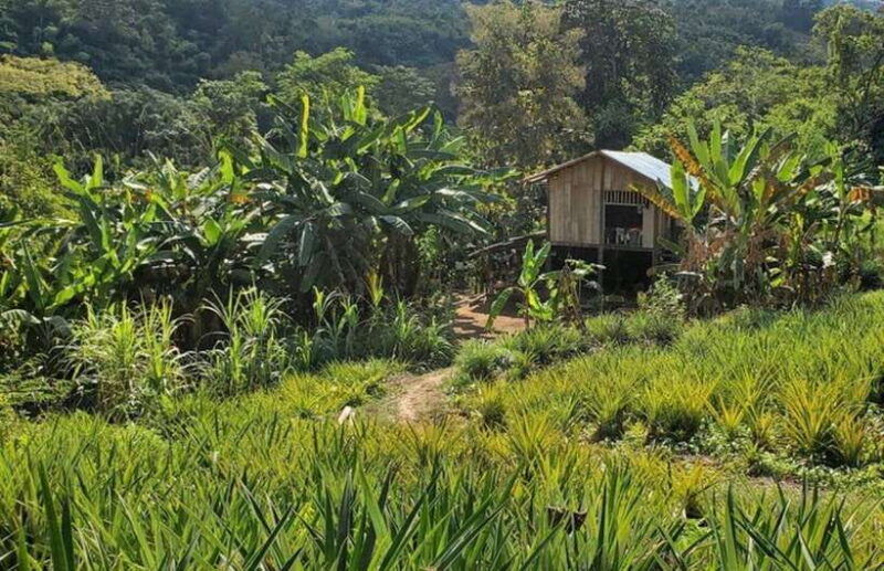 luang-prabang-3-days-ethnic-and-forest-living-mountain