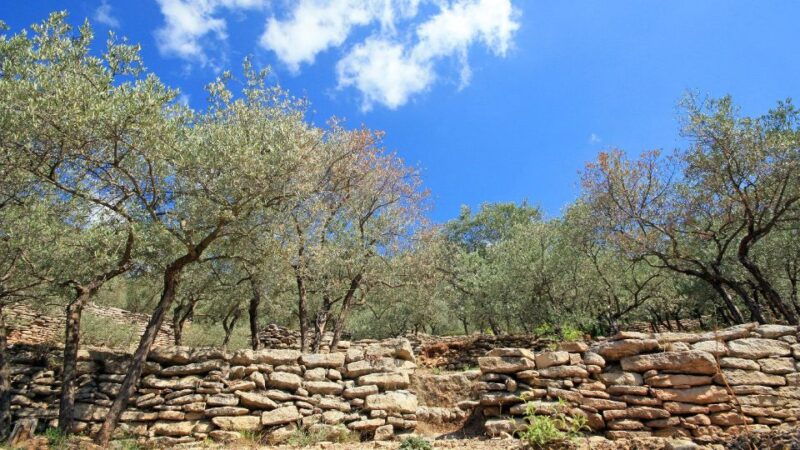 luberon-plague-wall-bike-ride