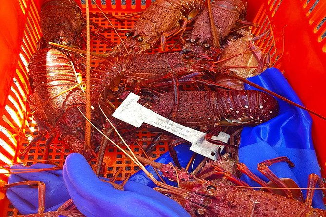 Luxe Seafood Package with Round Trip Ferry from Fremantle - FAQ