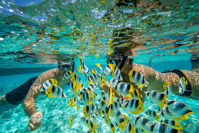Luxury Private full day tour with Lunch on Board - Final Thoughts