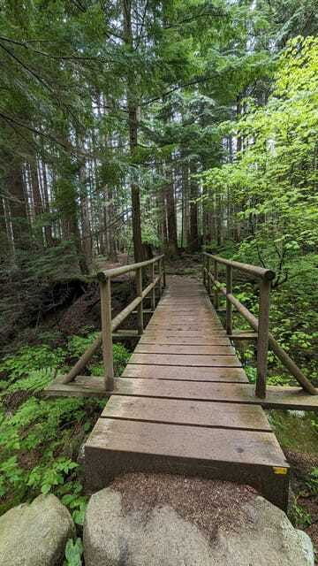 lynn-canyon-suspension-bridge-grouse-mount-private-tour