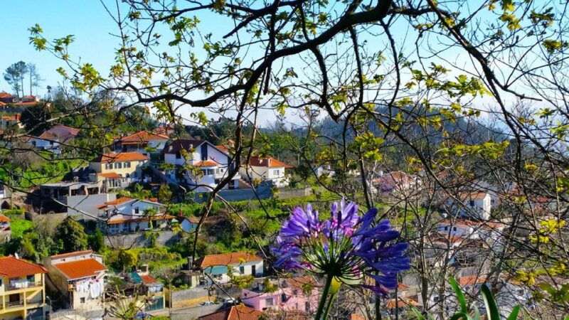 madeira-paradise-valley-levada-walk