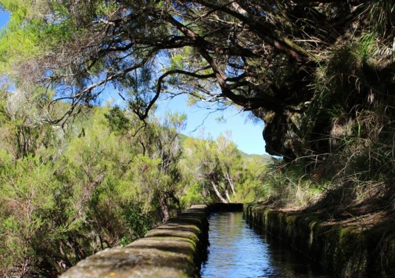 madeira-walking-tour-rabacal-25-springs