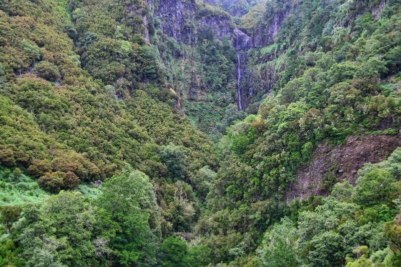 madeira-walks-rabacal-and-the-25-fountains