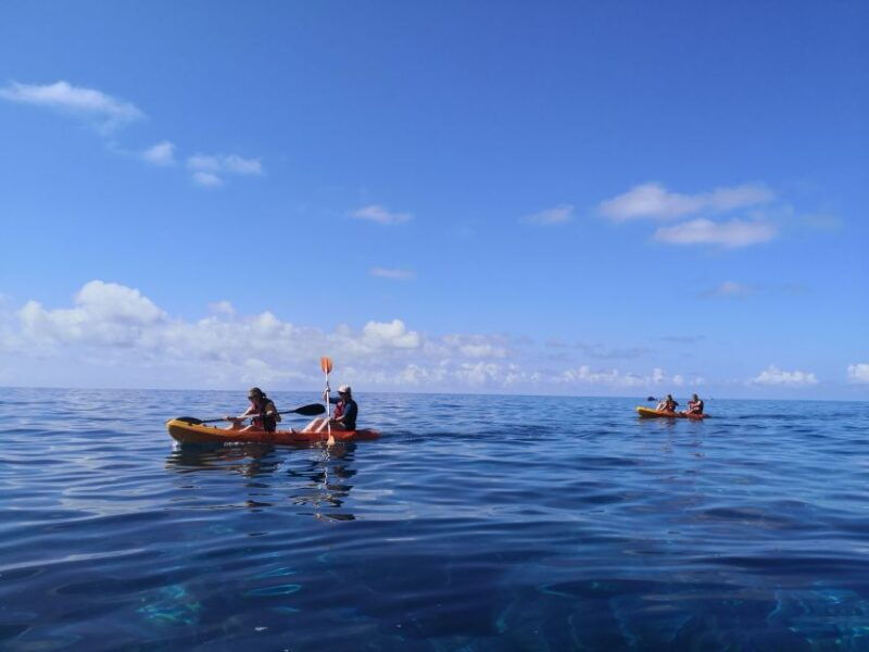 madeiras-marine-reserve-kayak-snorkelling-trip
