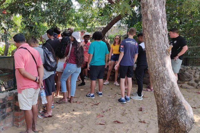 Mahabalipuram and Madras Crocodile bank trip from Chennai wtih Lunch,Transport - Practical Tips for Travelers