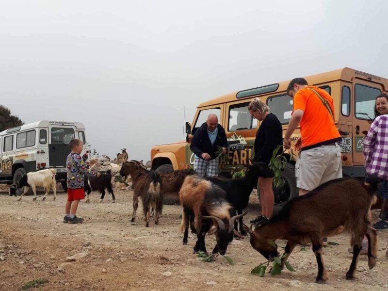 malia-land-rover-safari-lasithi-plateau-and-zeus-cave