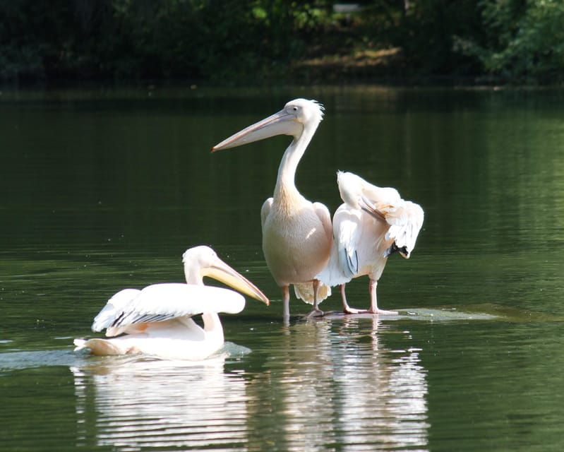 mannheim-guided-park-tour-luisenpark