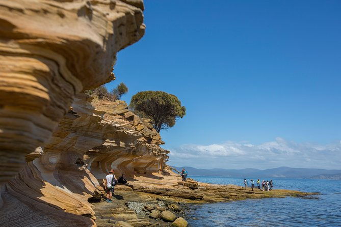 Maria Island Active Day Tour from Hobart - The Sum Up