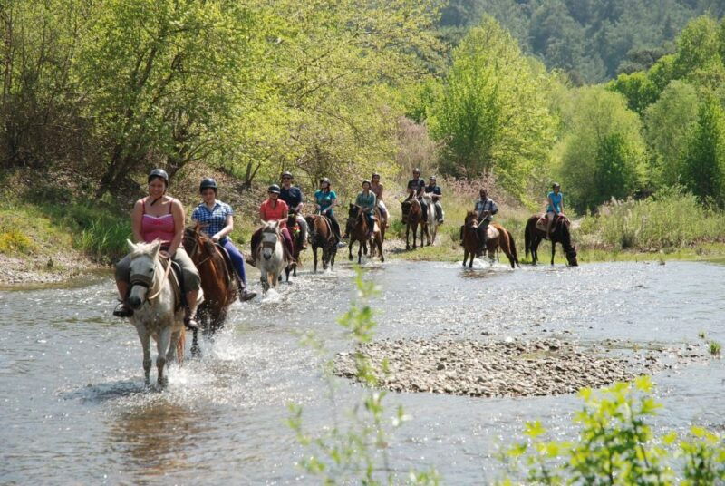 marmaris-horse-riding-experience-with-transfer