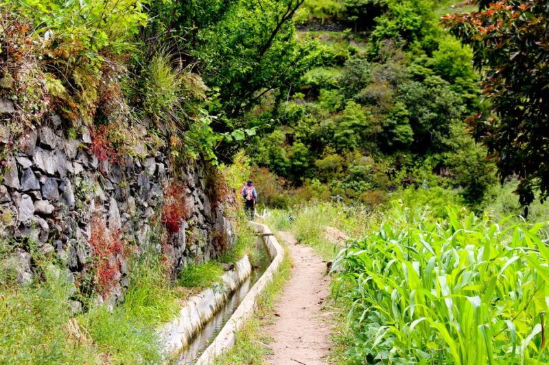 marocos-mimosa-valley-levada-walk