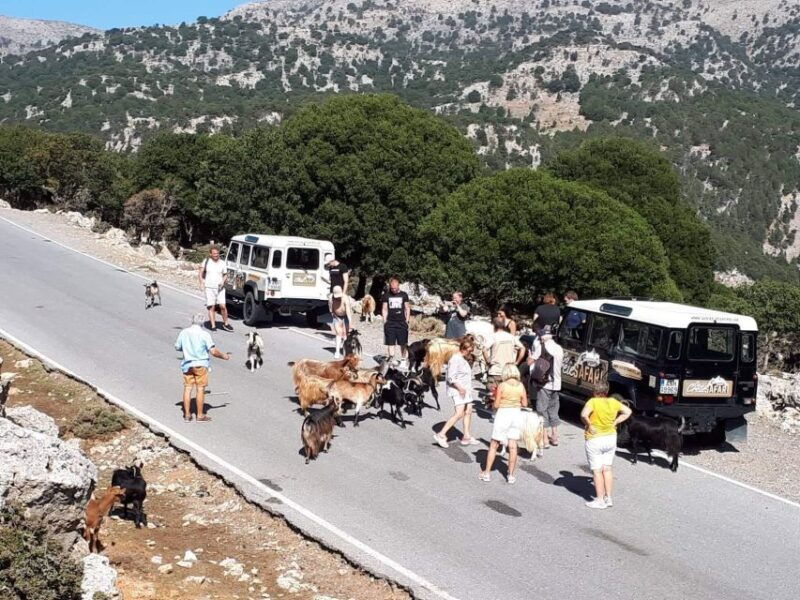 matala-agiofarago-gorge-safari-tour
