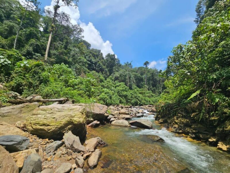 medan-7-day-bukit-lawang-orangutan-exploration-package